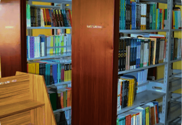 about University of Africa