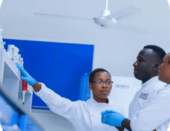 about University of Africa